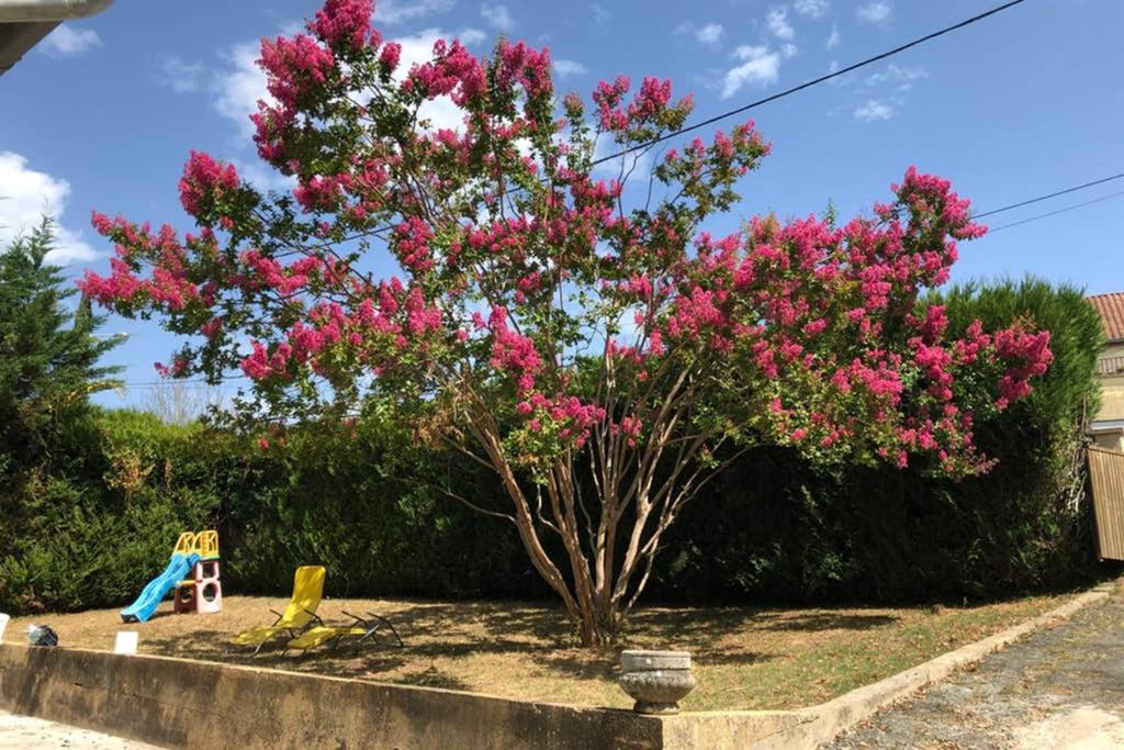 Au Lilas Rose Maison Entre Campagne Et Village Belvès Zewnętrze zdjęcie