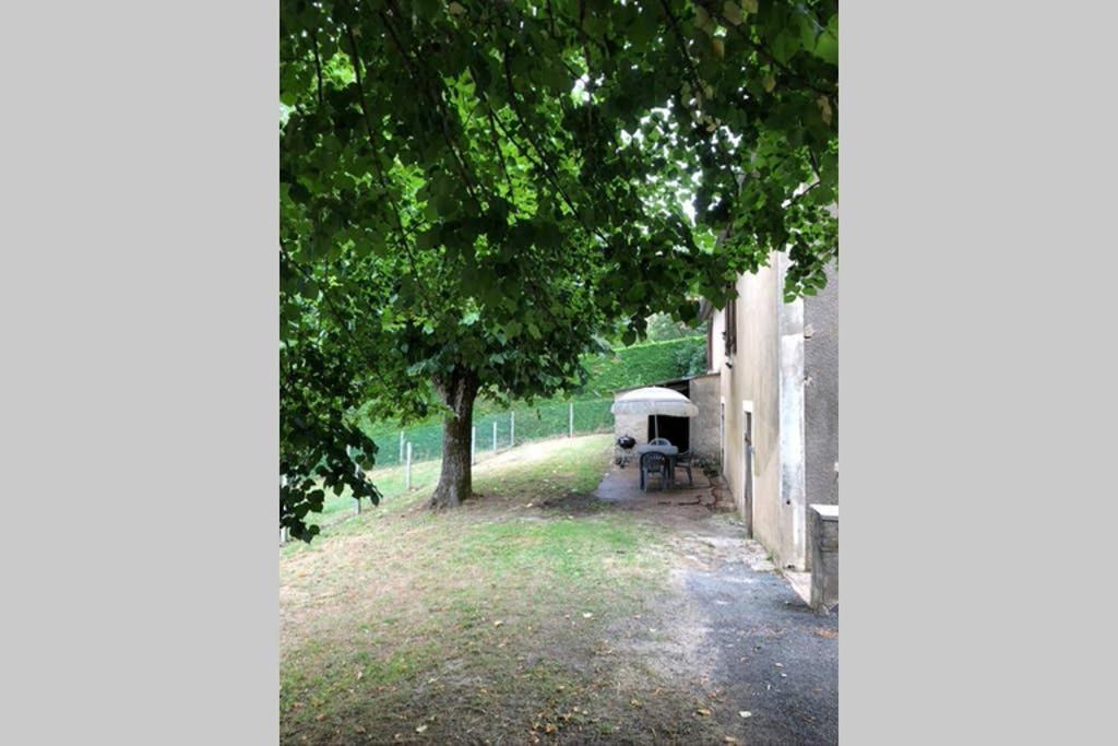 Au Lilas Rose Maison Entre Campagne Et Village Belvès Zewnętrze zdjęcie
